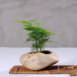 Vaso Cerâmica Stoneware para Suculentas - Design Artesanal Padrão Pedra Vintage