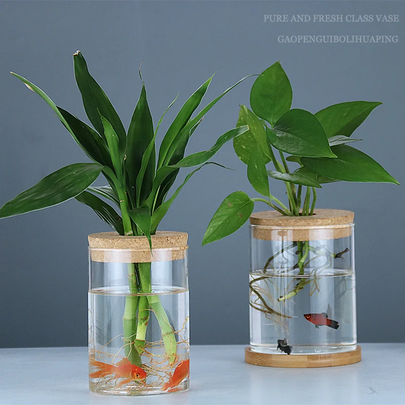 Garrafa de Vidro Decorativa para Plantas Hidropônicas – Decoração com Plantas Verdes Internas - Image 6
