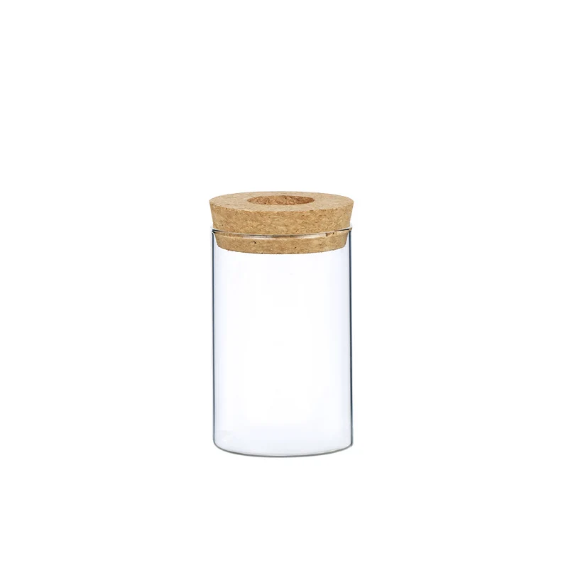Garrafa de Vidro Decorativa para Plantas Hidropônicas – Decoração com Plantas Verdes Internas - Image 7